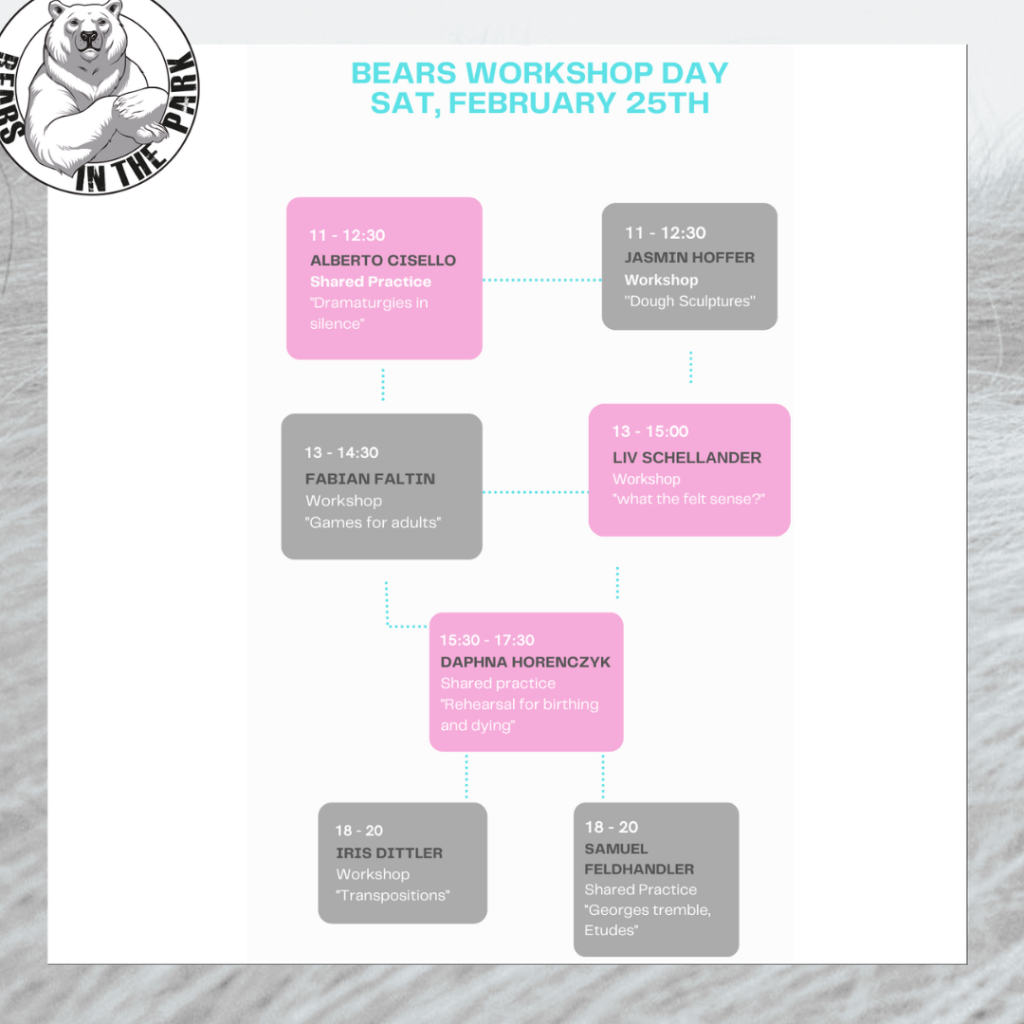 Bears Workshop Day February